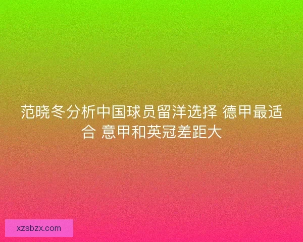 范晓冬分析中国球员留洋选择 德甲最适合 意甲和英冠差距大