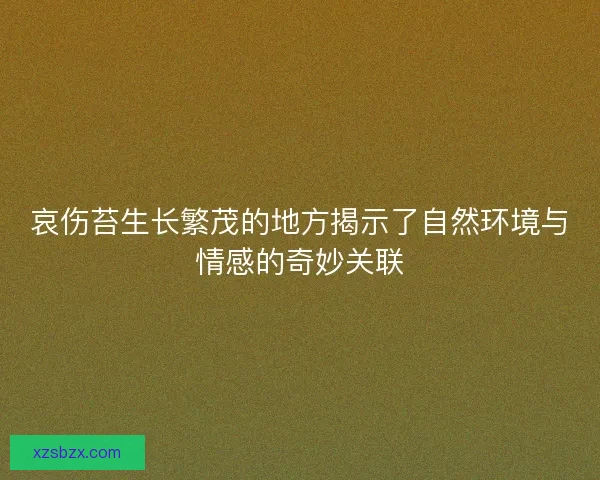 哀伤苔生长繁茂的地方揭示了自然环境与情感的奇妙关联