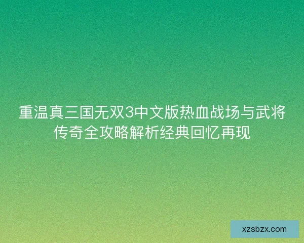 重温真三国无双3中文版热血战场与武将传奇全攻略解析经典回忆再现