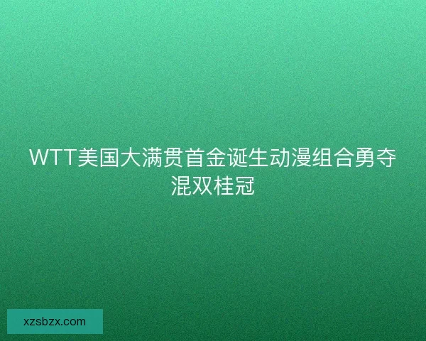 WTT美国大满贯首金诞生动漫组合勇夺混双桂冠