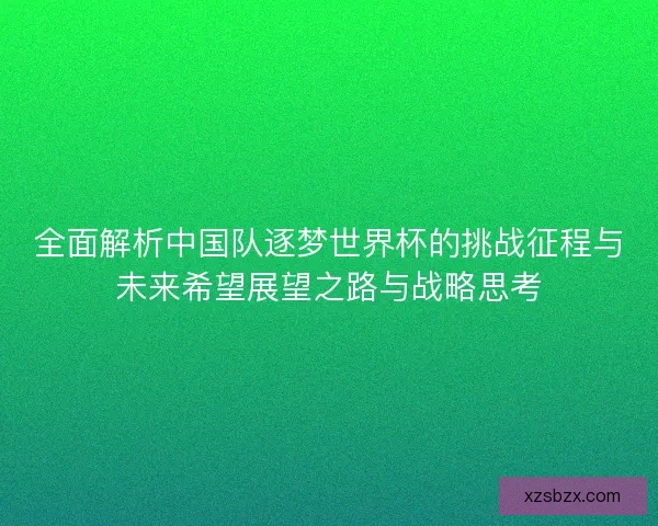 全面解析中国队逐梦世界杯的挑战征程与未来希望展望之路与战略思考 全面解析中国队逐梦世界杯的挑战征程与未来希望展望之路与战略思考